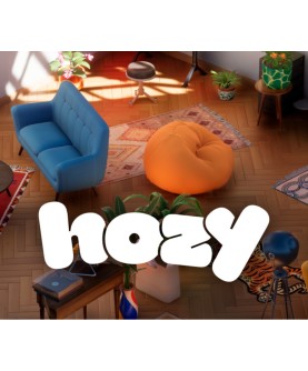 Hozy Steam Key 101